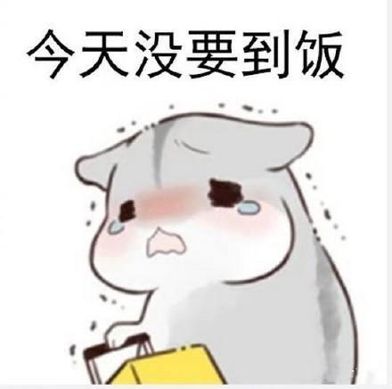 可爱仓鼠表情包要饭