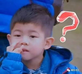 双宋要结婚啦太后cp粉美梦成真,但也有人哭晕在厕所里