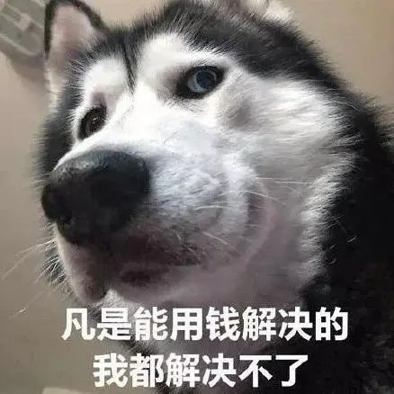 系统繁忙,请稍后再试