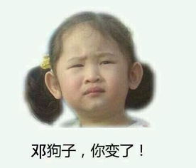 能在狗子前面加个邓字吗