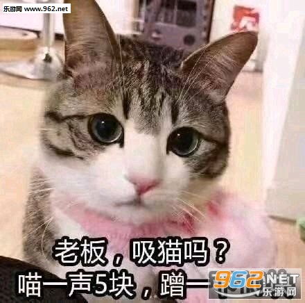 生活又要开始伤害我这个弱女子了吗图片老板吸猫吗喵一声五块表情包下载乐游网游戏下载