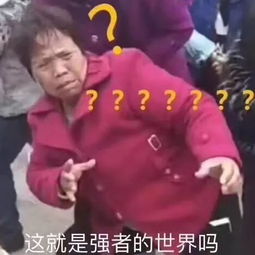 十一出行总结别说爱情经不起检验,亲情都被旅行玩死