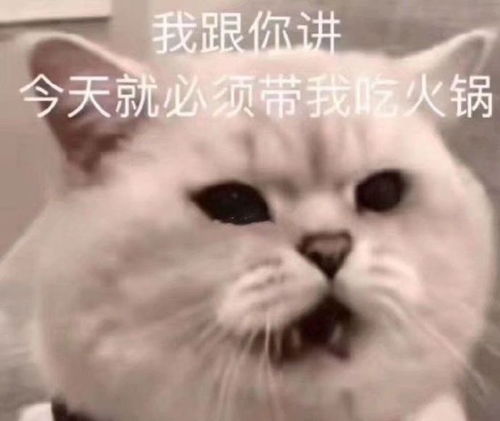 搞笑表情包拿图片速度围观,一级保护废物