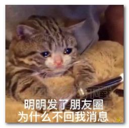 我都害羞了萌娃表情图片我都害羞了萌娃表情包完整版jz5u绿色下载站