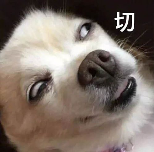 如何看待海底捞就复工涨价道歉,中国内地门店菜品价格恢复到停业前标准