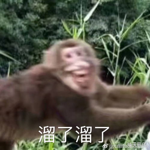 巨蟹女一般有什么特点,优点和缺点,是不是非常独立有没有双子男和巨蟹女恋爱过的说一下感受