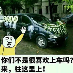 金馆长qq表情系列,全套恶搞金馆长图片
