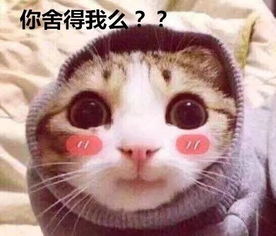 2018深圳老公价目表出炉了快看看你老公值多少钱
