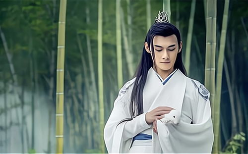 陈情令众人出演天官赐福,配角很好匹配,主角该怎么安排