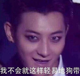 黄子韬的表情包图片带字的那种百度云资源,或者直接发图片