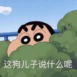 搞笑个性经典表情包头像已经在路上了