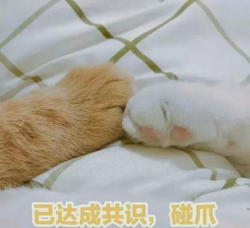如何在高考后绝地求生