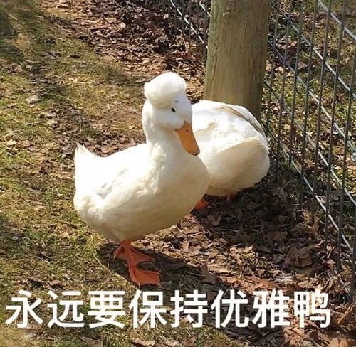 谁穿谁丑的5件单品,我拜托你立马扔掉