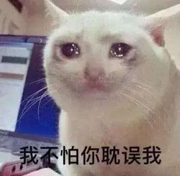 抖音热门表情包一个人的夜我的心应该放在哪里
