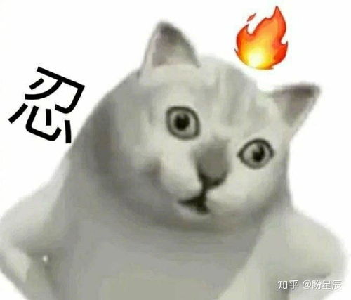 每天坚持跳绳1000下,身体会有什么变化