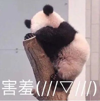 直播预告如何成为一名合格的摸鱼设计师