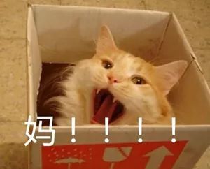 澳门带薪长假期有望劳方提倡90日有薪产假分年放