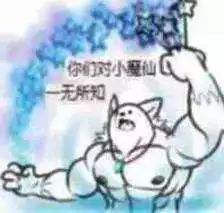 董明珠抱怨你们只想和我合影,却不买格力手机