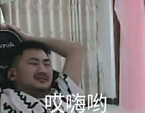 茄子表情包wdnmd下载茄子表情包wdnmd图片大全分享下载v1.0嗨客手机站
