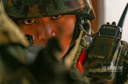 士兵的表情写着士兵的蜕变,也透着军人的风骨
