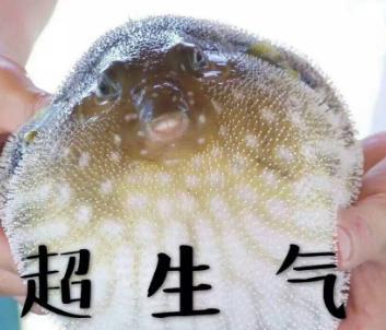 让我怎么不恨你盘点害人心力交瘁旅游陷阱