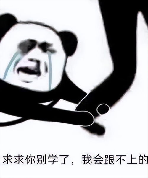 哔哔小子表情包仗着
