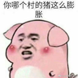 建造