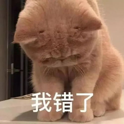 沙雕表情包你吼那么大声干嘛
