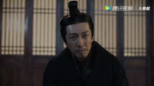 对比十年前的大秦帝国第一部,大秦赋简直如筛子般的漏水拉胯