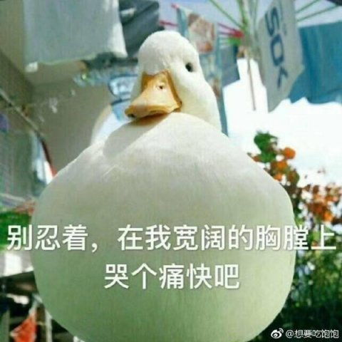 大b神脱口秀警察抓获279人网络交友诈骗,只有2个是真的女生