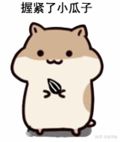 你有哪些可爱的小仓鼠表情包