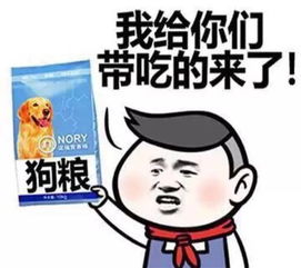 永清人,今天虐狗的狗粮你吃了多少