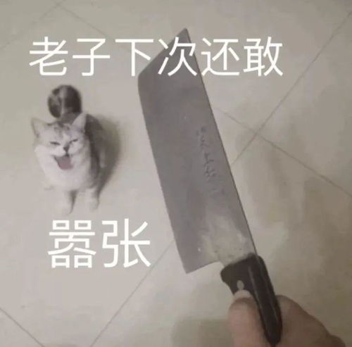 如何让主子认识到错误并改正