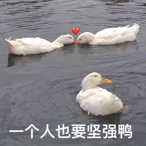 studiosr秀场资讯拿什么来拯救你,我的少女心