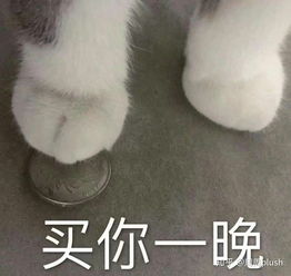 有哪些撩男友的表情包