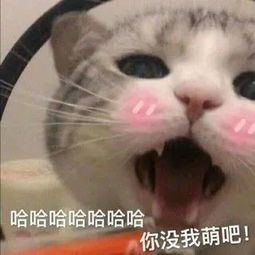 今日表情推荐,829