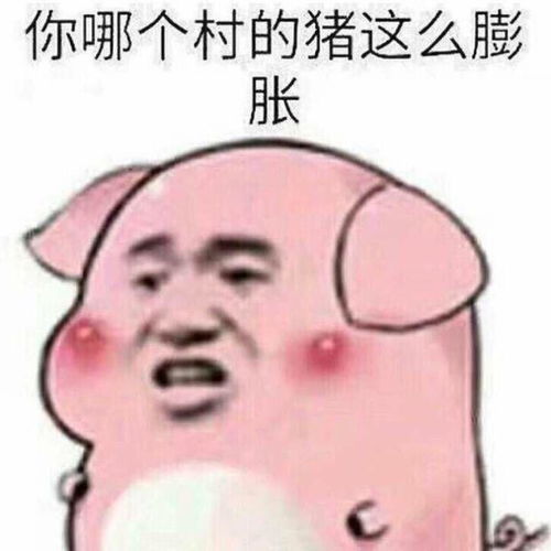收藏夹