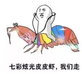 盘点2017年度网络十大关键词