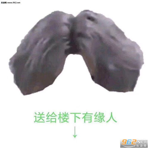 送给楼下有缘人蔡徐坤头发图片你又可以了表情包下载乐游网游戏下载