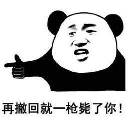 熊猫头表情包抱歉,您哪位