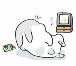 求这只兔子的表情包尽量全一点不要带水印,1106536723qq.com