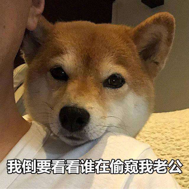 超燃打戏全程高能,赖猫的狮子倒影完美收官