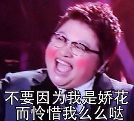 孙楠不是歌手而是司机妖精还我毛爷爷
