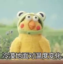表情动图包鹦鹉兄弟