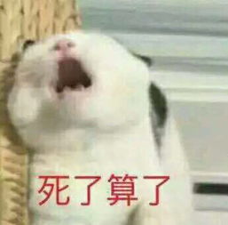 爱死你了表情包可保存小可爱