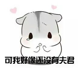 仓鼠球表情包系列夫君