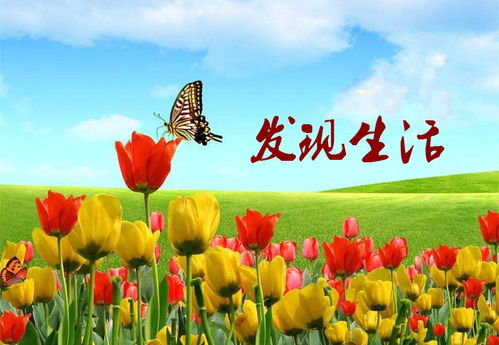一个不用节食就能高效瘦小腹的方法知乎