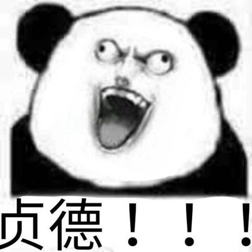 fgo外的贞德与元帅