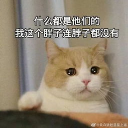 一句话比惨大赛对不起,我虾了