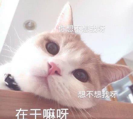 搞笑段子本人老板,来份麻辣烫,不要麻辣,不要烫